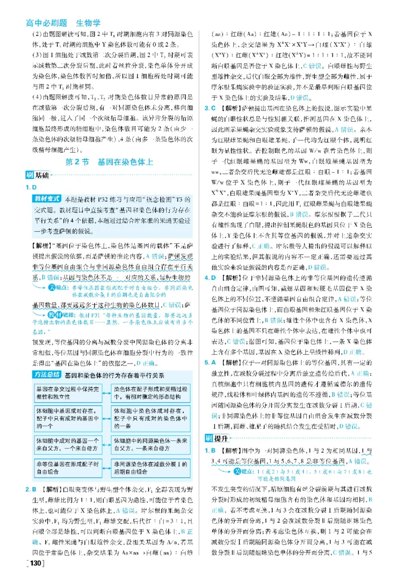 第2章基因和染色体的关系(1)_生物_2026版高中必刷题生物人教版_2026春高中必刷题生物必修2RJ_2026版高中《必刷题》教材同步版（生物）（必修2）