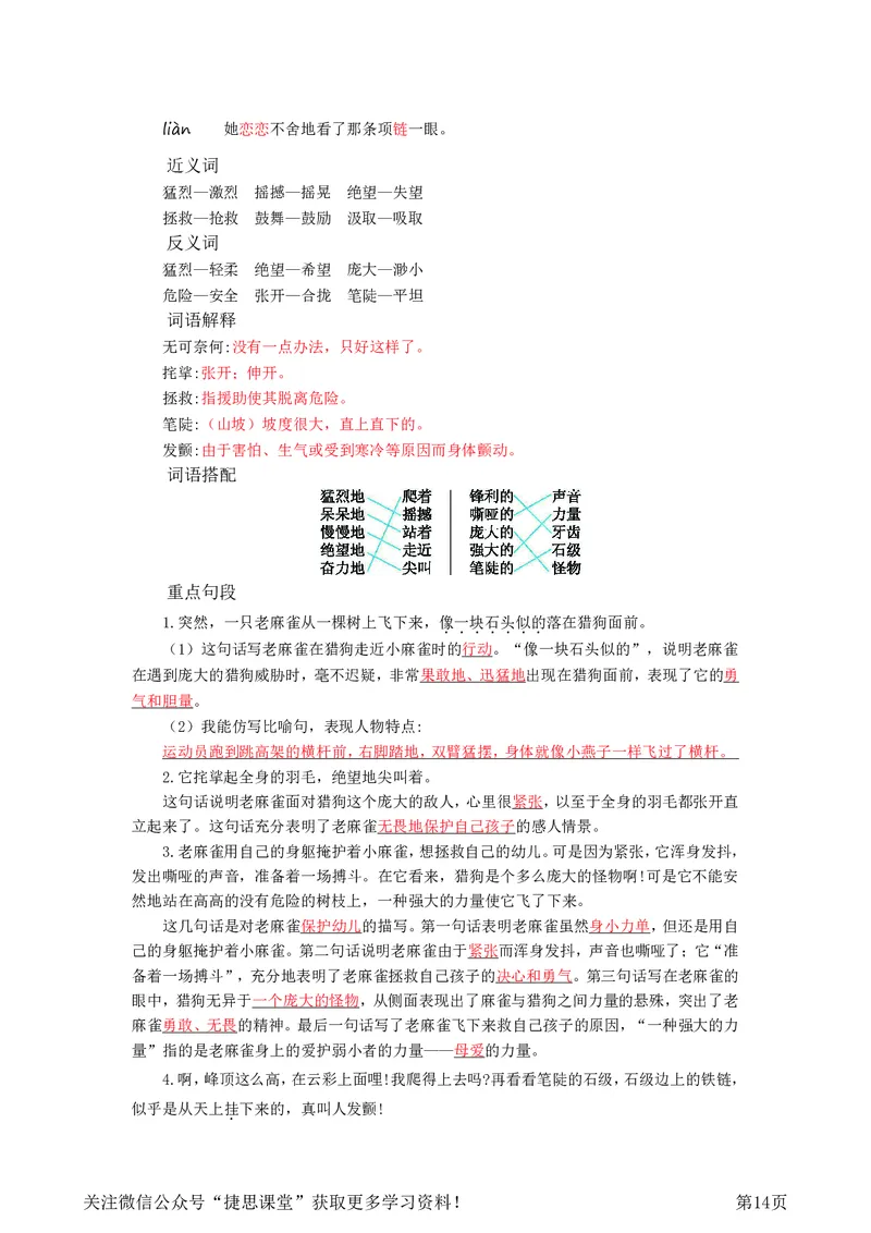 四年级上册语文部编版知识要点_小学1-6年级全部试卷_语文_四年级_3-9-1、小学四年级语文上册_3-9-1-1、复习、知识点、归纳汇总_部编版