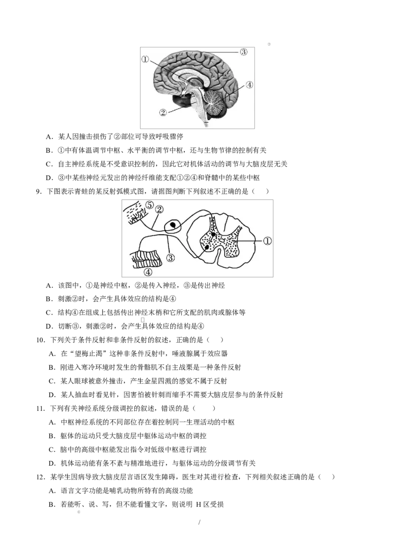 高二生物上学期第一次月考测试范围：人教版2019选择性必修1第1章~第2章（广东专用）（考试版）_1多考区联考试卷_2510142025-2026学年高二生物上学期第一次月考试题
