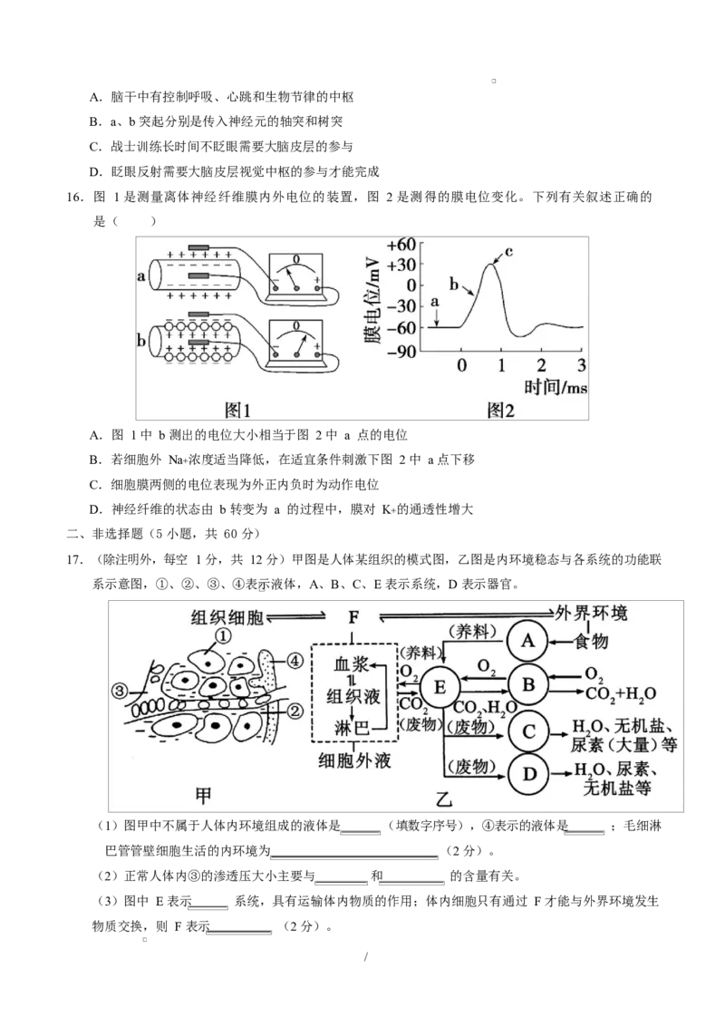 高二生物上学期第一次月考测试范围：人教版2019选择性必修1第1章~第2章（广东专用）（考试版）_1多考区联考试卷_2510142025-2026学年高二生物上学期第一次月考试题