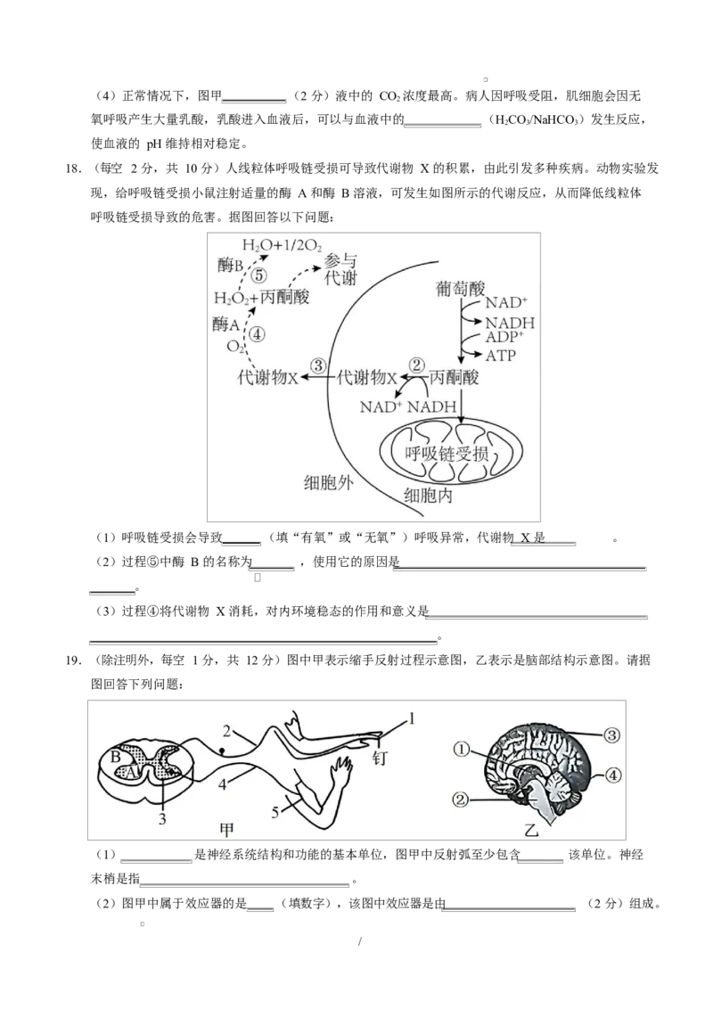 高二生物上学期第一次月考测试范围：人教版2019选择性必修1第1章~第2章（广东专用）（考试版）_1多考区联考试卷_2510142025-2026学年高二生物上学期第一次月考试题