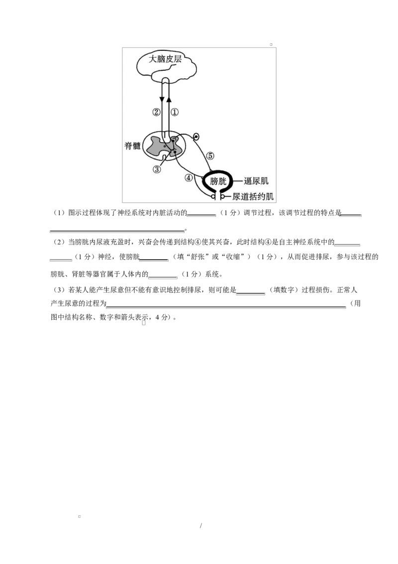 高二生物上学期第一次月考测试范围：人教版2019选择性必修1第1章~第2章（广东专用）（考试版）_1多考区联考试卷_2510142025-2026学年高二生物上学期第一次月考试题
