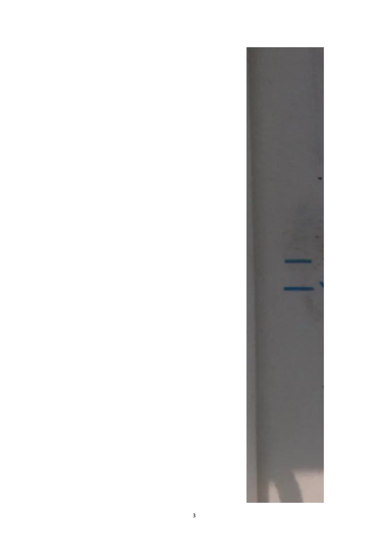 新人教版小学一年级数学下册期末测试题(3)_小学1-6年级全部试卷_数学_一年级_3-6-4、小学一年级数学下册_3-6-4-2、练习题、作业、试题、试卷_人教版_期末测试卷