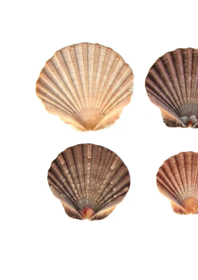 小学一年级上册语文资料-上册汉语拼音练习题_小学1-6年级全部试卷_语文_一年级_3-6-1、小学一年级语文上册_3-6-1-2、练习题、作业、试题、试卷_部编（人教）版_专项练习