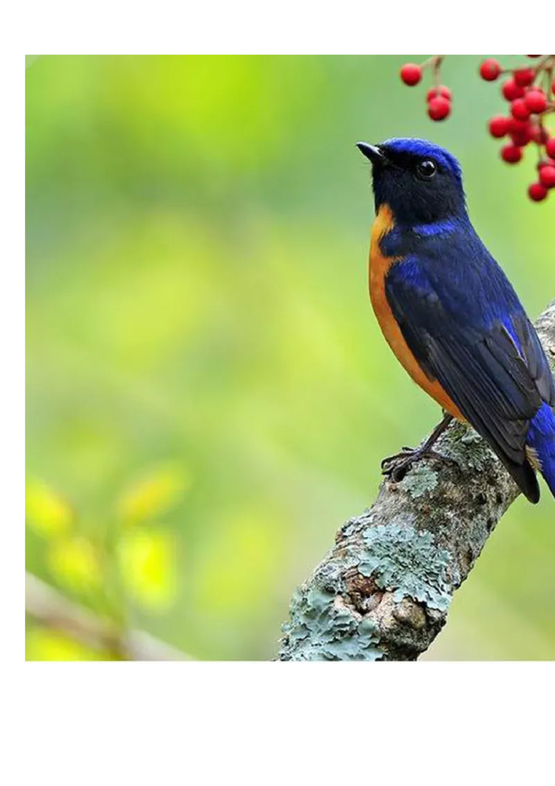 小学一年级上册语文资料-上册汉语拼音练习题_小学1-6年级全部试卷_语文_一年级_3-6-1、小学一年级语文上册_3-6-1-2、练习题、作业、试题、试卷_部编（人教）版_专项练习