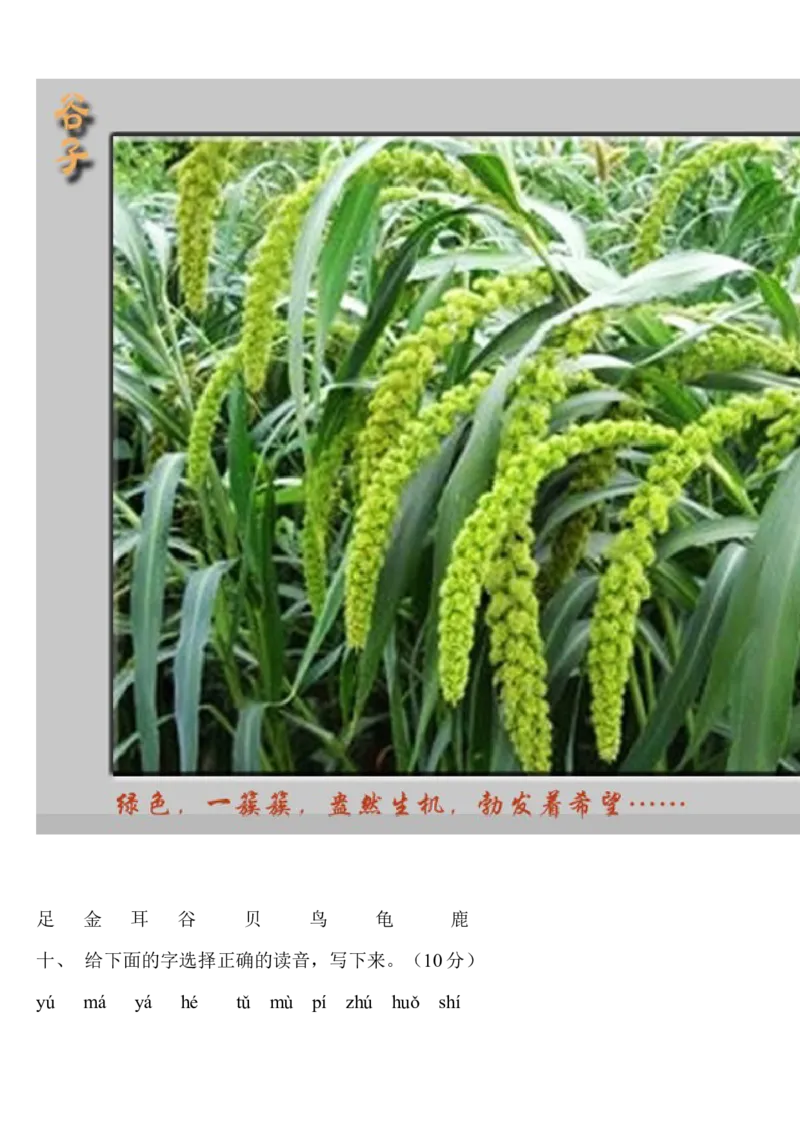 小学一年级上册语文资料-上册汉语拼音练习题_小学1-6年级全部试卷_语文_一年级_3-6-1、小学一年级语文上册_3-6-1-2、练习题、作业、试题、试卷_部编（人教）版_专项练习