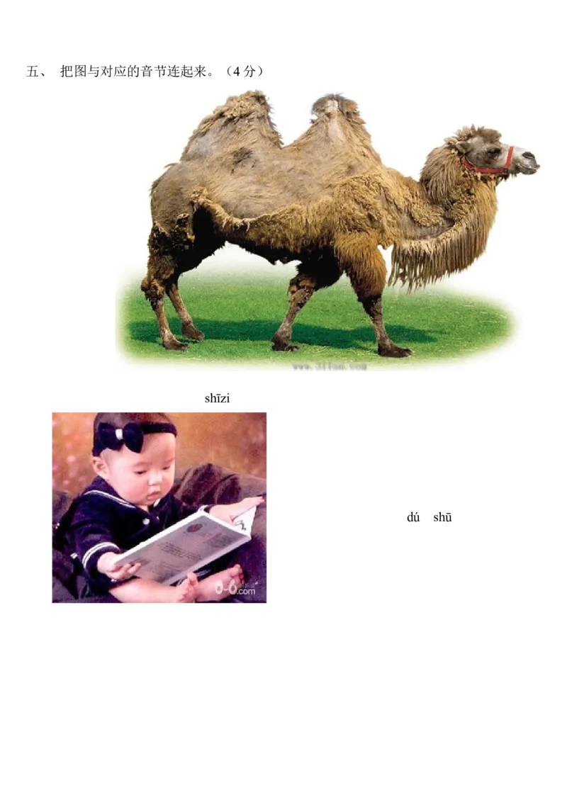 小学一年级上册语文资料-上册汉语拼音练习题_小学1-6年级全部试卷_语文_一年级_3-6-1、小学一年级语文上册_3-6-1-2、练习题、作业、试题、试卷_部编（人教）版_专项练习