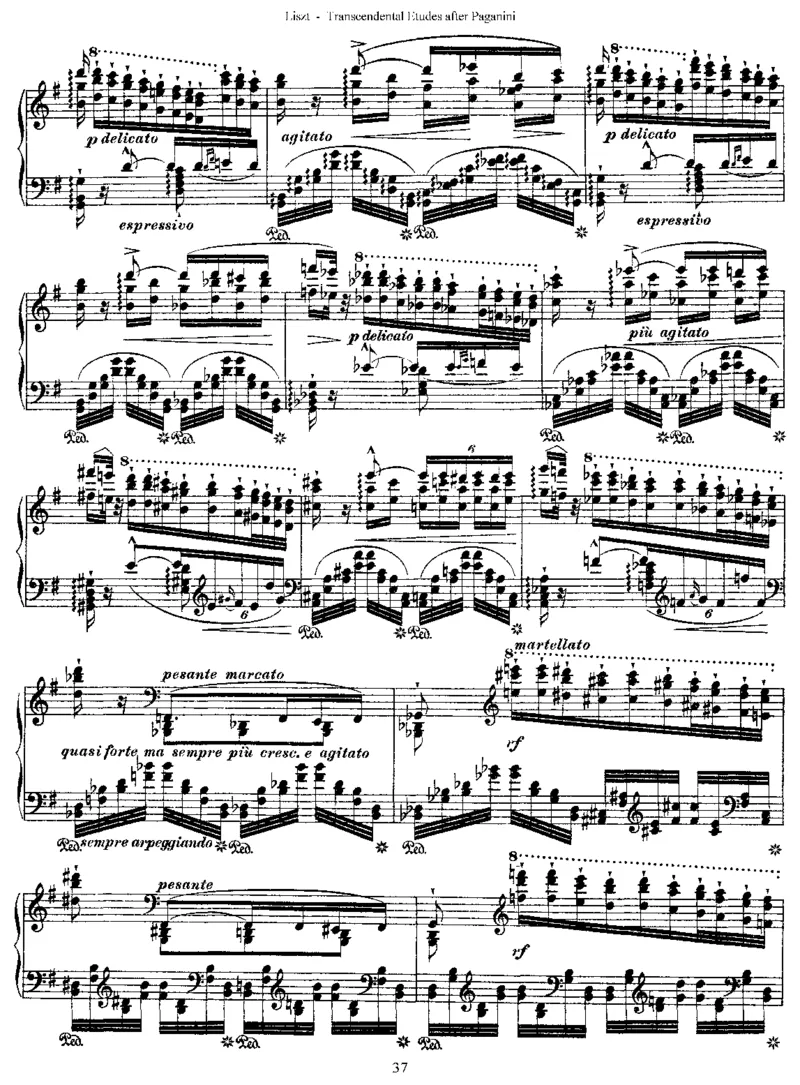 李斯特六首帕格尼尼练习曲钢琴谱_一万首著名钢琴曲谱哈农贝多芬合集视频教学电子版高清无水印可打印_1古典钢琴知名音乐家谱_李斯特钢琴谱全集