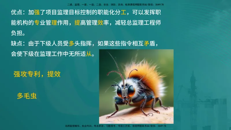 案例分析（土建）在线版_监理工程师_2025监理工程师_2025年监理工程师SVIP_2025年监理土建案例SVIP_04-冲刺串讲✿考点强化✿小灶集训_01-案例《核心考点进阶》马老师YL