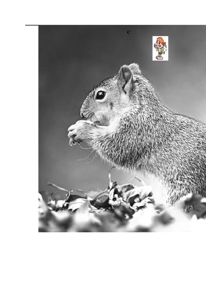 第8课时比例尺_小学1-6年级全部试卷_数学_六年级_3-11-4、小学六年级数学下册_3-11-4-3、课件、讲义、教案_2.人教版六（下）数学全册教案、导学案_导学案_第4单元比例