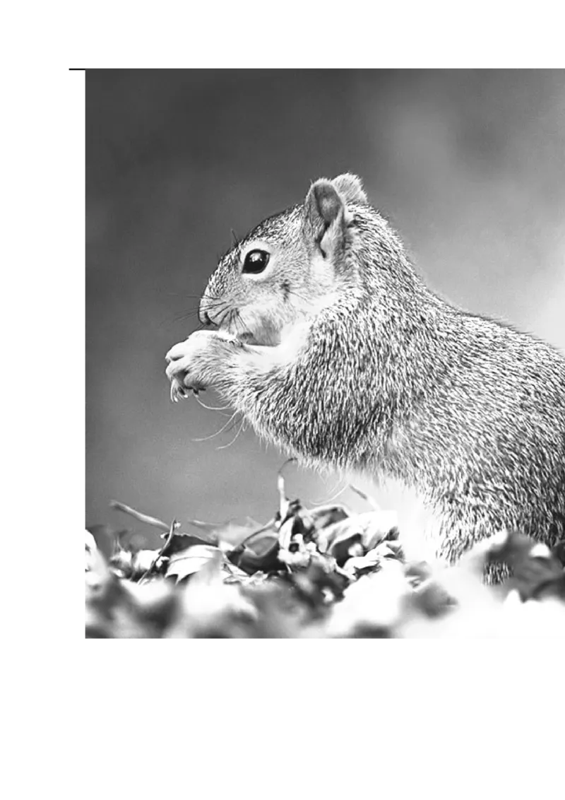 第8课时比例尺_小学1-6年级全部试卷_数学_六年级_3-11-4、小学六年级数学下册_3-11-4-3、课件、讲义、教案_2.人教版六（下）数学全册教案、导学案_导学案_第4单元比例