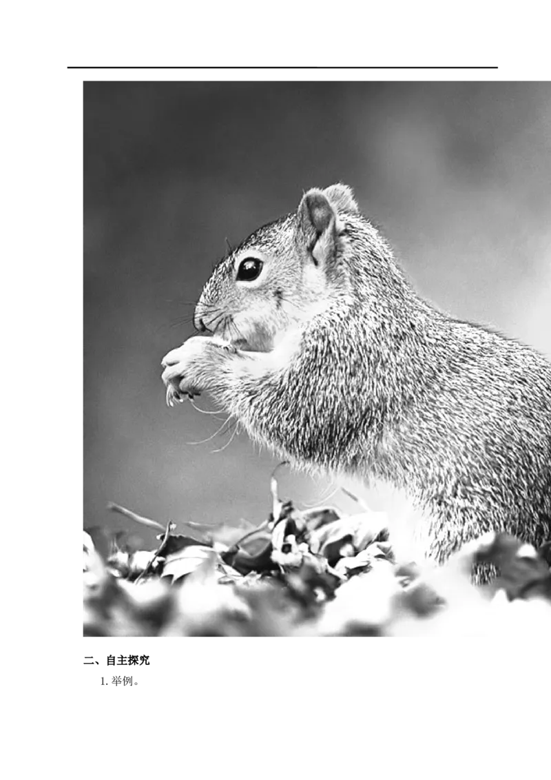 第8课时比例尺_小学1-6年级全部试卷_数学_六年级_3-11-4、小学六年级数学下册_3-11-4-3、课件、讲义、教案_2.人教版六（下）数学全册教案、导学案_导学案_第4单元比例