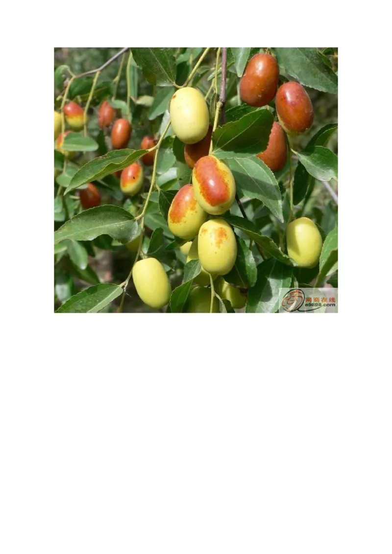 小学一年级上册语文带拼音的阅读训练(全)_小学1-6年级全部试卷_语文_一年级_3-6-1、小学一年级语文上册_3-6-1-2、练习题、作业、试题、试卷_部编（人教）版_专项练习