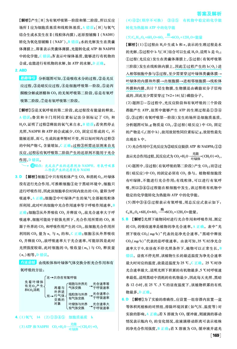 第5章细胞的能量供应和利用_生物_2026版高中必刷题生物人教版_2026版高中必刷题生物必修1RJ_2025秋高中必刷题生物学必修1分子与细胞RJ不定项选择题模式_图书答案