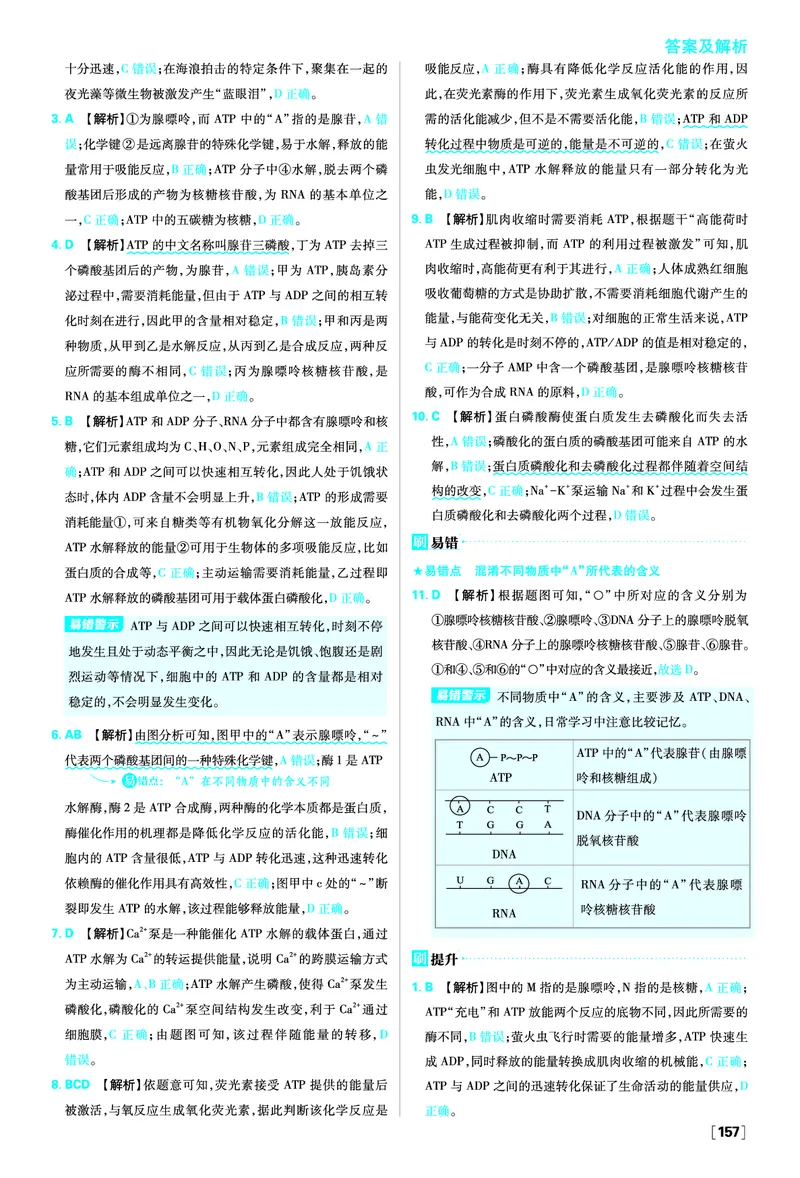 第5章细胞的能量供应和利用_生物_2026版高中必刷题生物人教版_2026版高中必刷题生物必修1RJ_2025秋高中必刷题生物学必修1分子与细胞RJ不定项选择题模式_图书答案
