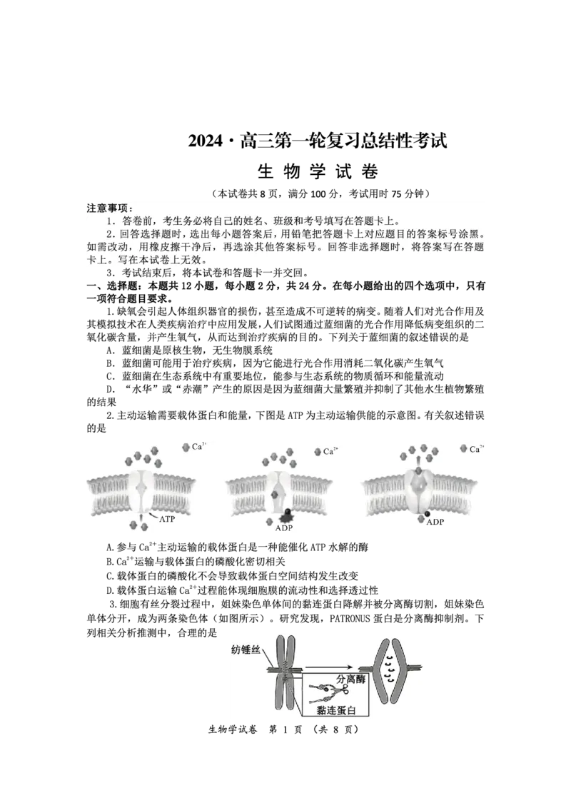 高三生物_2024年3月_013月合集_2024届湖南省高三下学期一轮复习总结性考试_湖南省2023-2024学年高三下学期一轮复习总结性考试（月考）生物试题