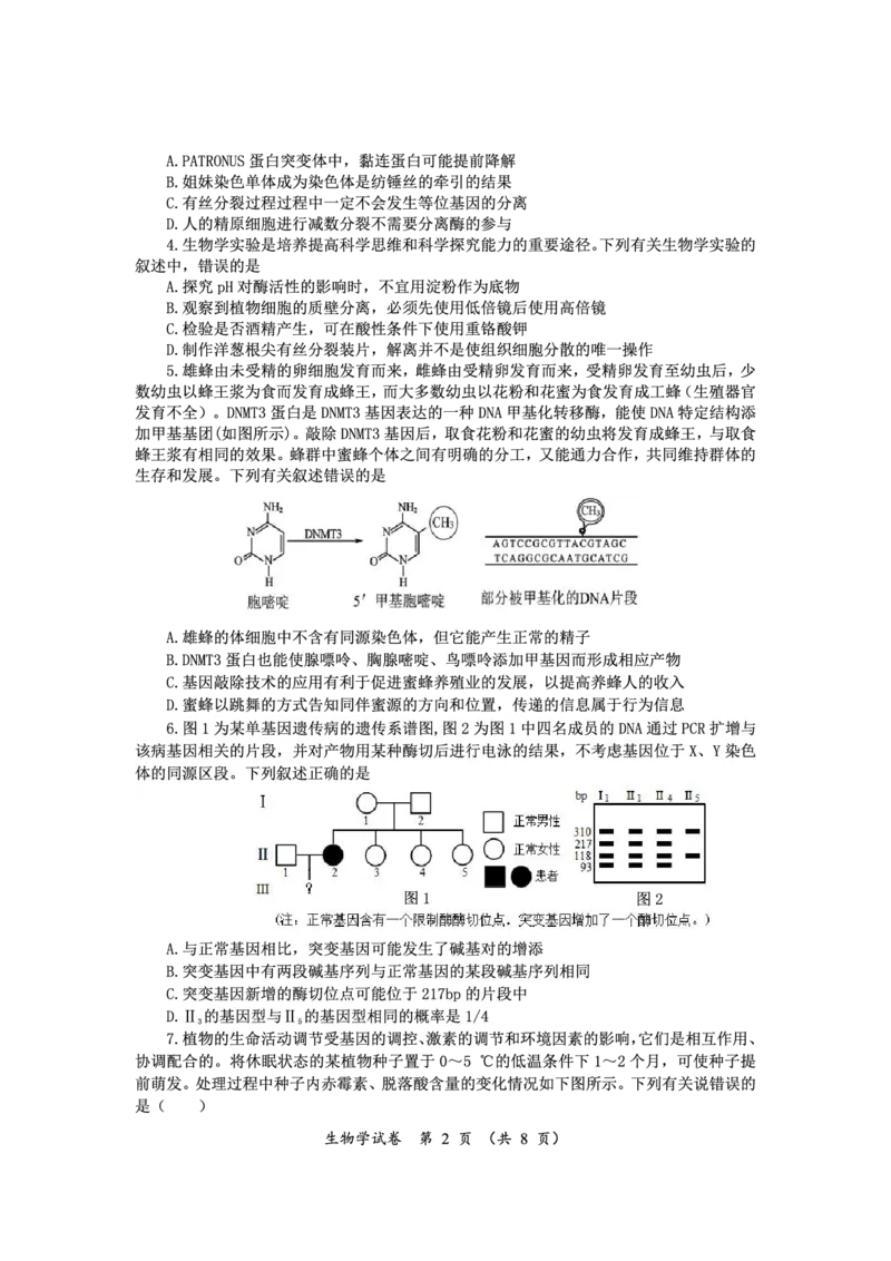 高三生物_2024年3月_013月合集_2024届湖南省高三下学期一轮复习总结性考试_湖南省2023-2024学年高三下学期一轮复习总结性考试（月考）生物试题