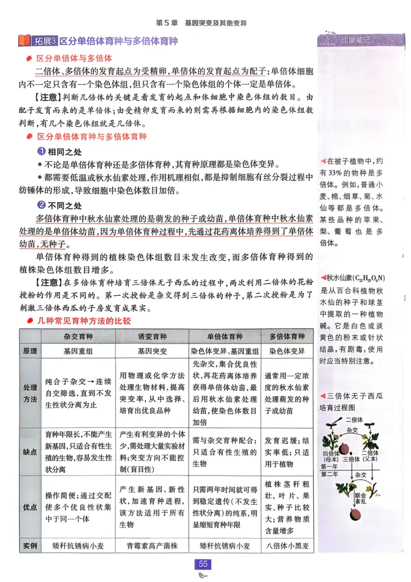 第1章第1节课时1有机化学的发展有机化合物的分类_化学_2026版高中必刷题化学《鲁科》_26春化学-鲁科-选择性必修三_化学选修3LK_电子预习卡