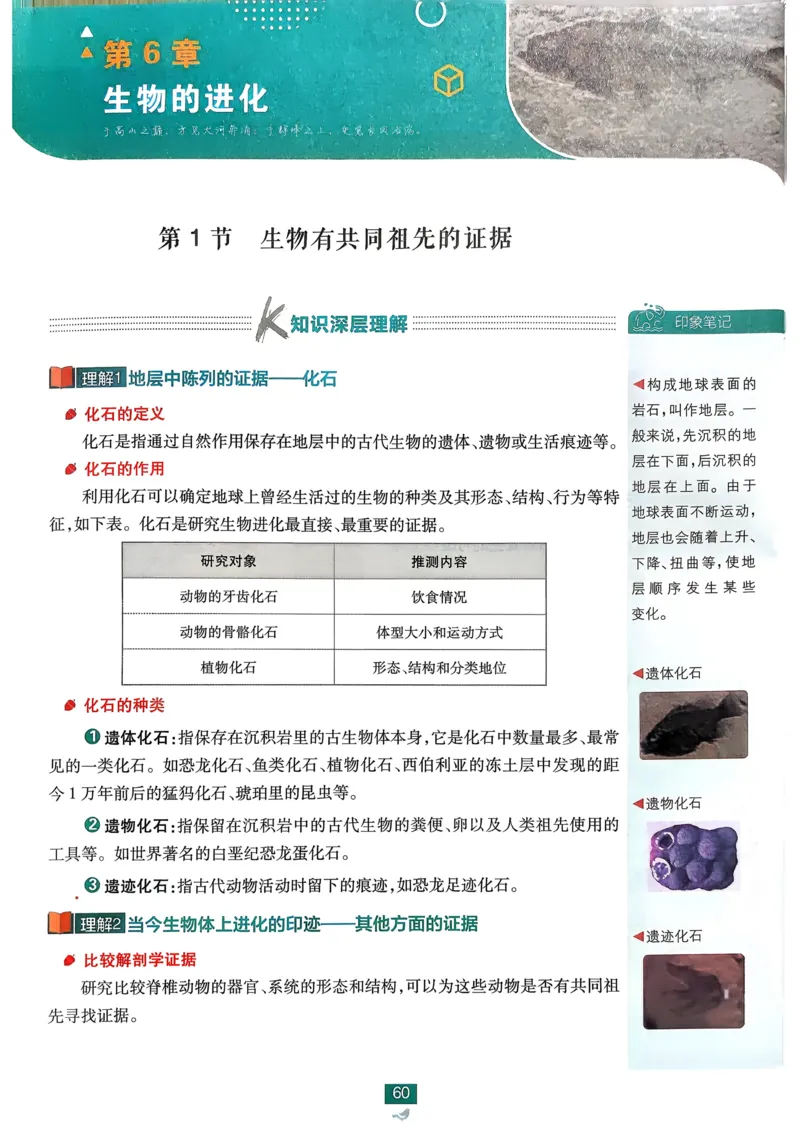 第1章第1节课时1有机化学的发展有机化合物的分类_化学_2026版高中必刷题化学《鲁科》_26春化学-鲁科-选择性必修三_化学选修3LK_电子预习卡