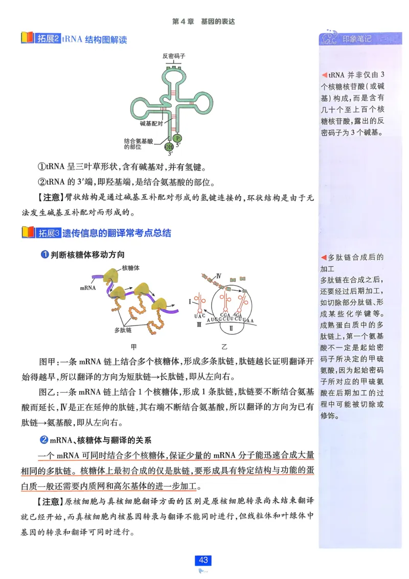 第1章第1节课时1有机化学的发展有机化合物的分类_化学_2026版高中必刷题化学《鲁科》_26春化学-鲁科-选择性必修三_化学选修3LK_电子预习卡