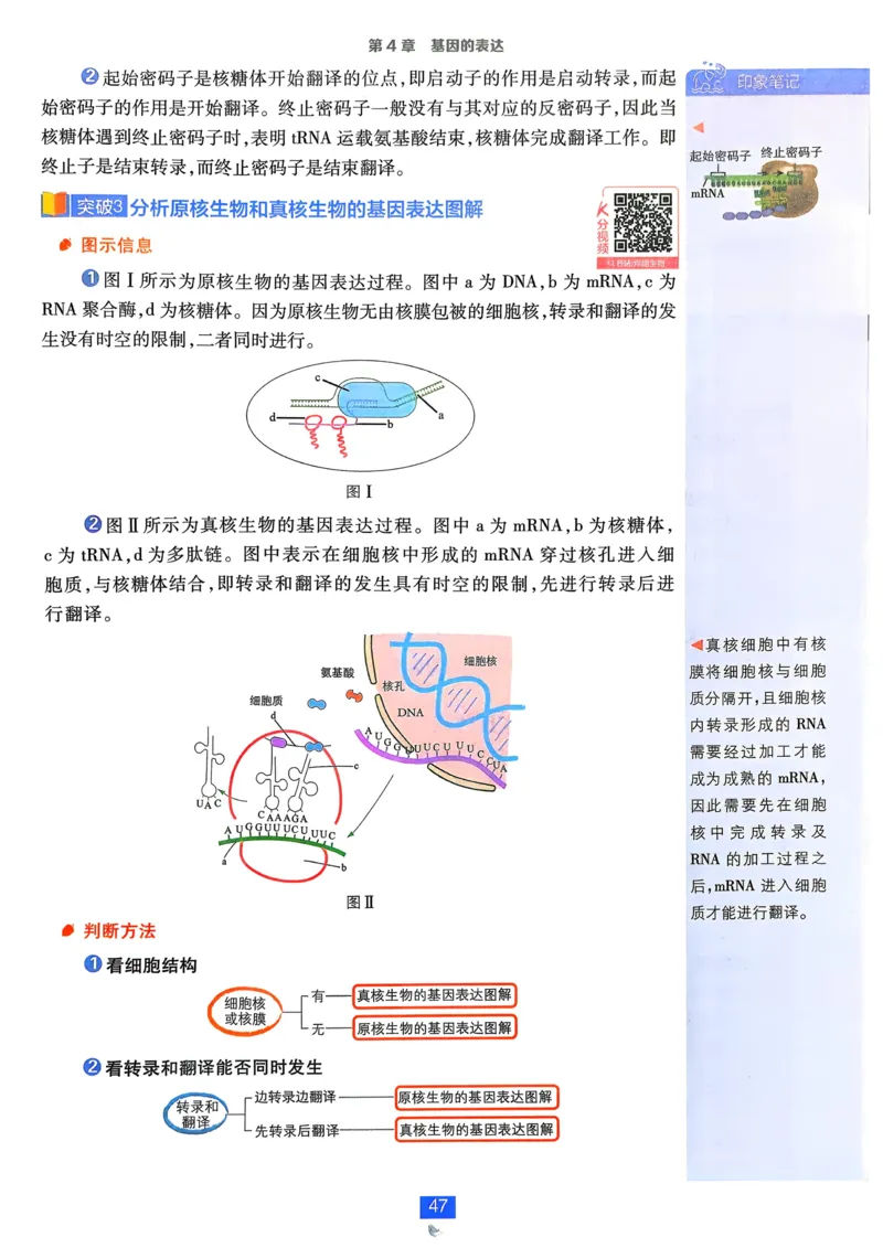 第1章第1节课时1有机化学的发展有机化合物的分类_化学_2026版高中必刷题化学《鲁科》_26春化学-鲁科-选择性必修三_化学选修3LK_电子预习卡