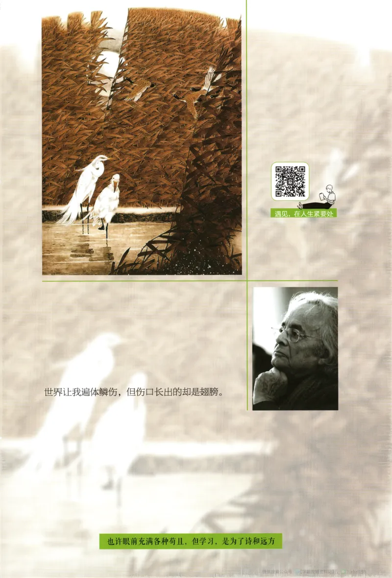 狂K重点_2026版高中必刷题_语文_2026版高中必刷题语文选修上