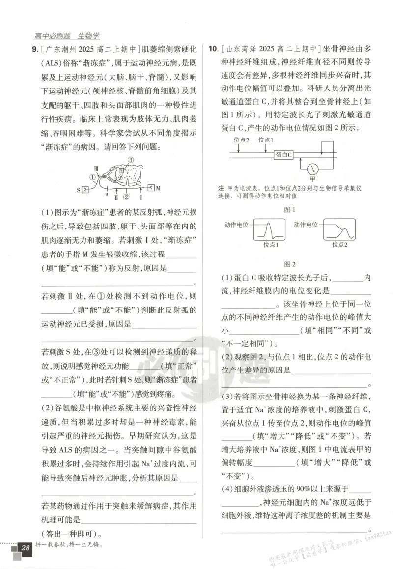 主书_生物_2026版高中必刷题生物人教版_2026版高中必刷题生物选修1RJ(1)