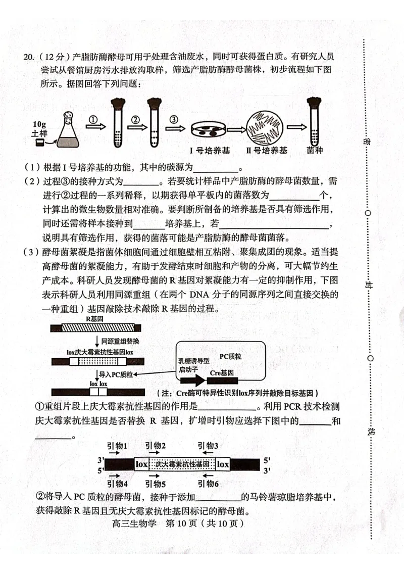 龙岩市2024届高三3月份一级校联考生物试卷_2024年3月_013月合集_2024届福建省龙岩市高三下学期3月质检_龙岩市2024届3月一级校联考生物