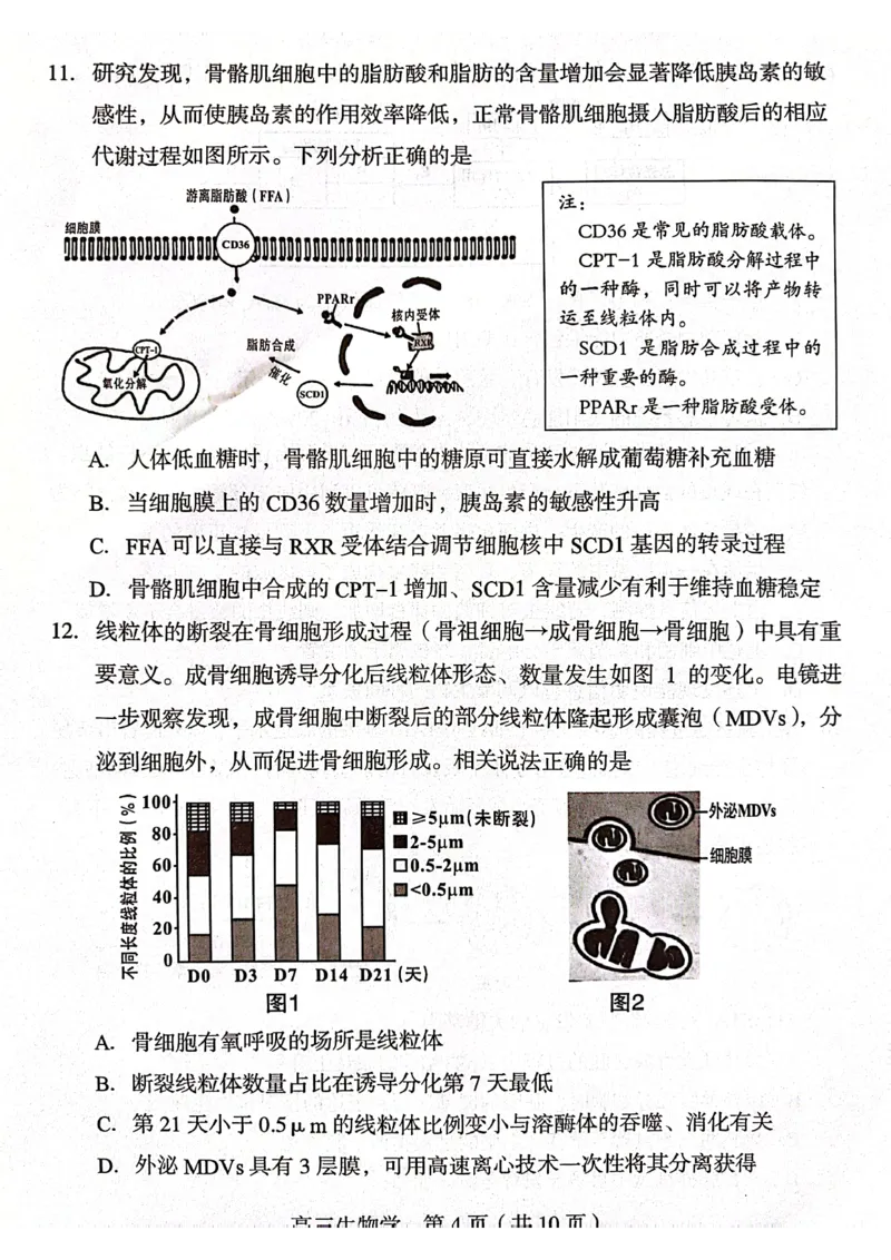 龙岩市2024届高三3月份一级校联考生物试卷_2024年3月_013月合集_2024届福建省龙岩市高三下学期3月质检_龙岩市2024届3月一级校联考生物