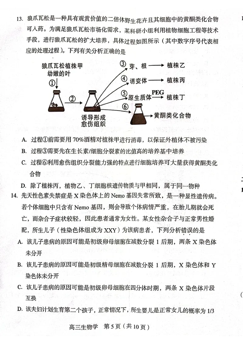 龙岩市2024届高三3月份一级校联考生物试卷_2024年3月_013月合集_2024届福建省龙岩市高三下学期3月质检_龙岩市2024届3月一级校联考生物