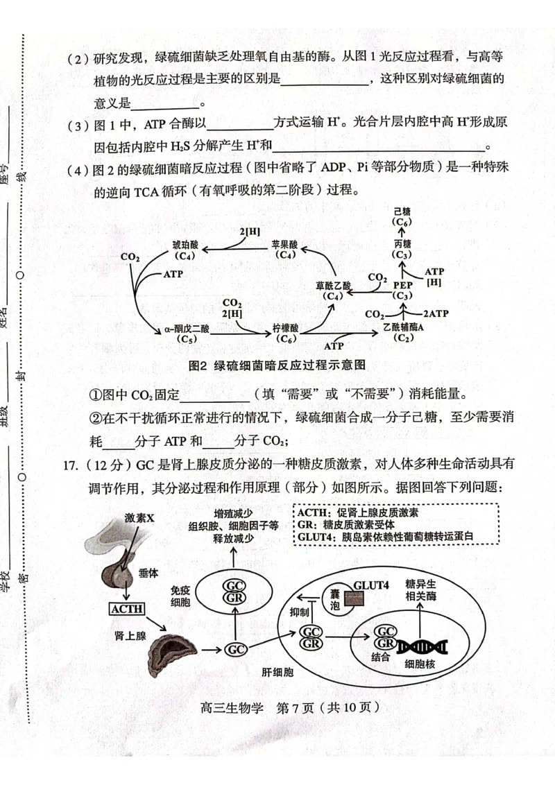 龙岩市2024届高三3月份一级校联考生物试卷_2024年3月_013月合集_2024届福建省龙岩市高三下学期3月质检_龙岩市2024届3月一级校联考生物