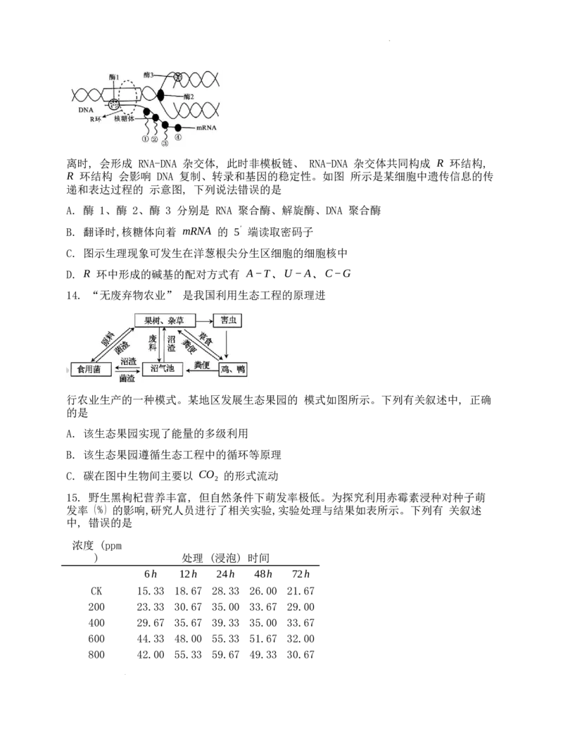 高三生物试卷（学生版）_2024年5月_01按日期_13号_2024届湖南省A佳教育5月高三模拟考试_湖南省A佳教育2023-2024年高三下学期5月模拟考试生物试题