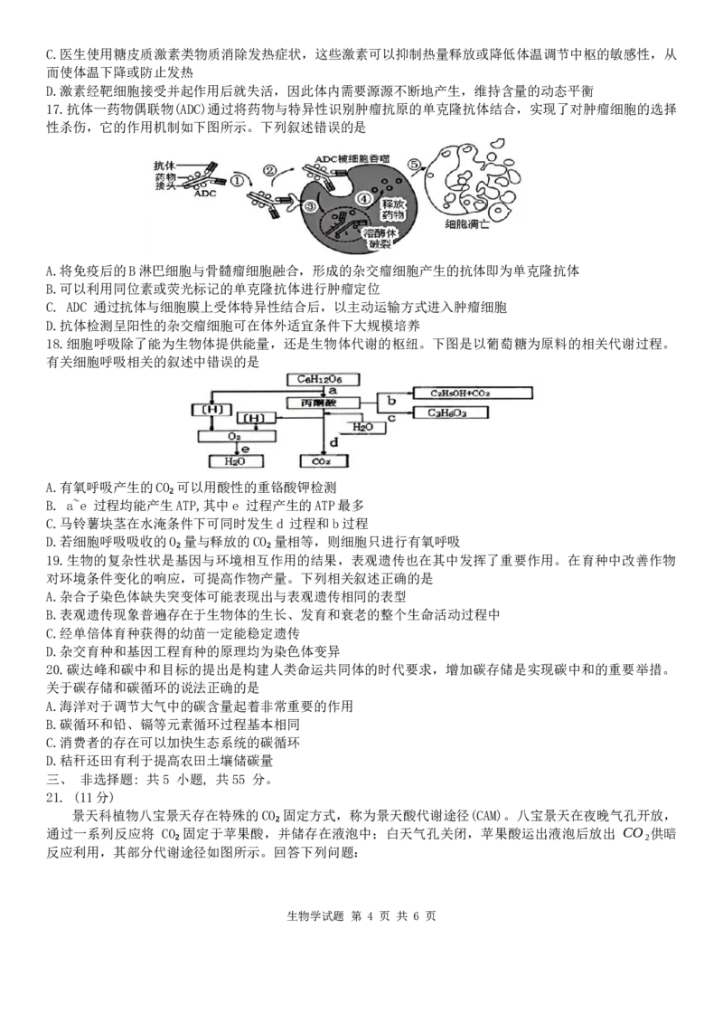 黑龙江省&ldquo;六校联盟&rdquo;2023-2024学年高三下学期联合性适应测试生物试题_2024年2月_01每日更新_22号_2024届黑龙江省六校联盟高三下学期联合性适应测试