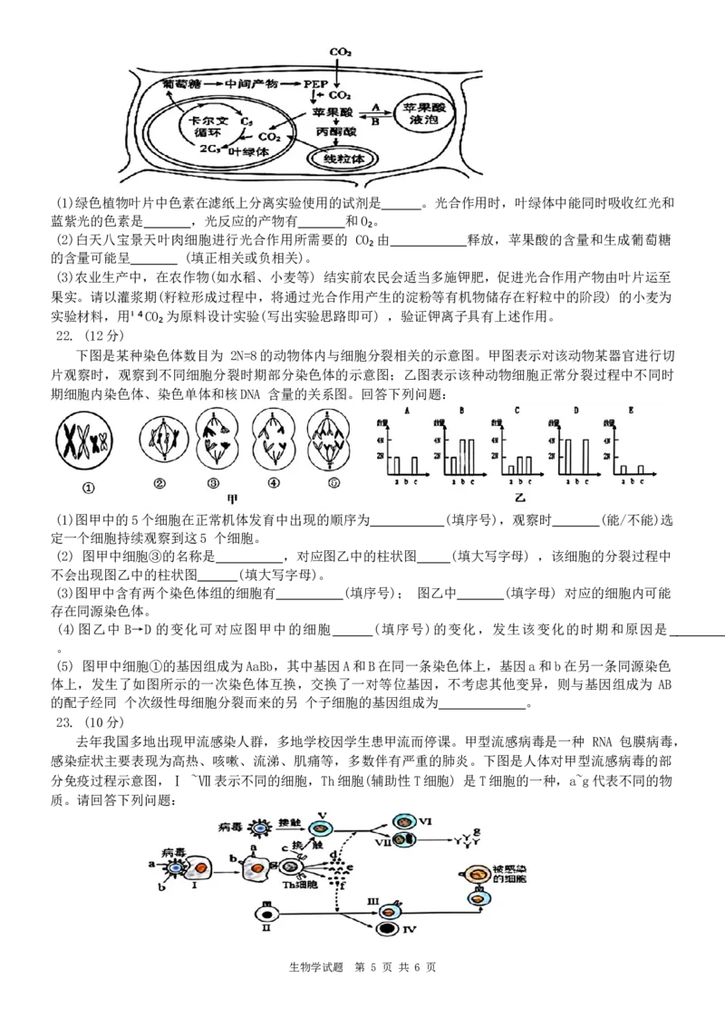 黑龙江省&ldquo;六校联盟&rdquo;2023-2024学年高三下学期联合性适应测试生物试题_2024年2月_01每日更新_22号_2024届黑龙江省六校联盟高三下学期联合性适应测试