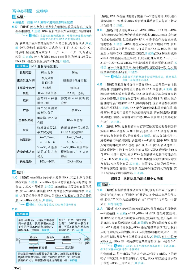 第4章基因的表达(1)_生物_2026版高中必刷题生物人教版_2026春高中必刷题生物必修2RJ_2026版高中《必刷题》教材同步版（生物）（必修2）