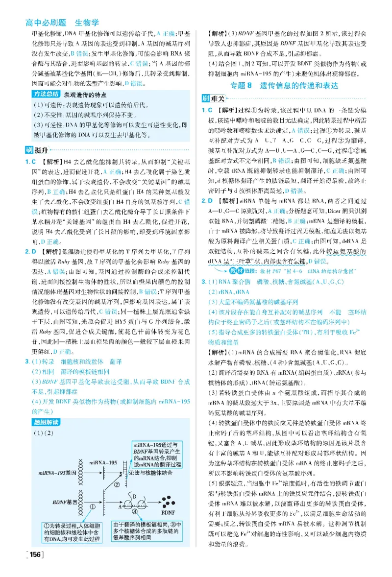 第4章基因的表达(1)_生物_2026版高中必刷题生物人教版_2026春高中必刷题生物必修2RJ_2026版高中《必刷题》教材同步版（生物）（必修2）