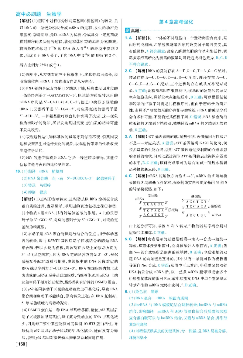 第4章基因的表达(1)_生物_2026版高中必刷题生物人教版_2026春高中必刷题生物必修2RJ_2026版高中《必刷题》教材同步版（生物）（必修2）