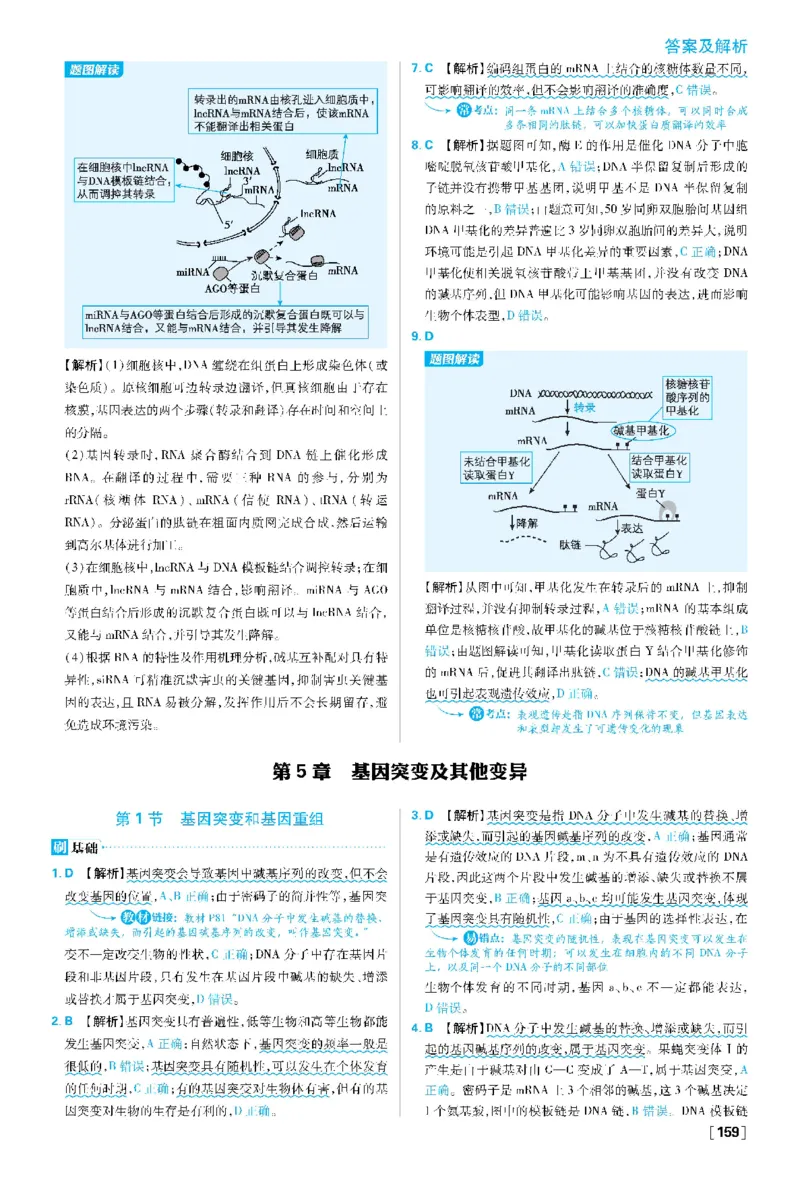 第4章基因的表达(1)_生物_2026版高中必刷题生物人教版_2026春高中必刷题生物必修2RJ_2026版高中《必刷题》教材同步版（生物）（必修2）