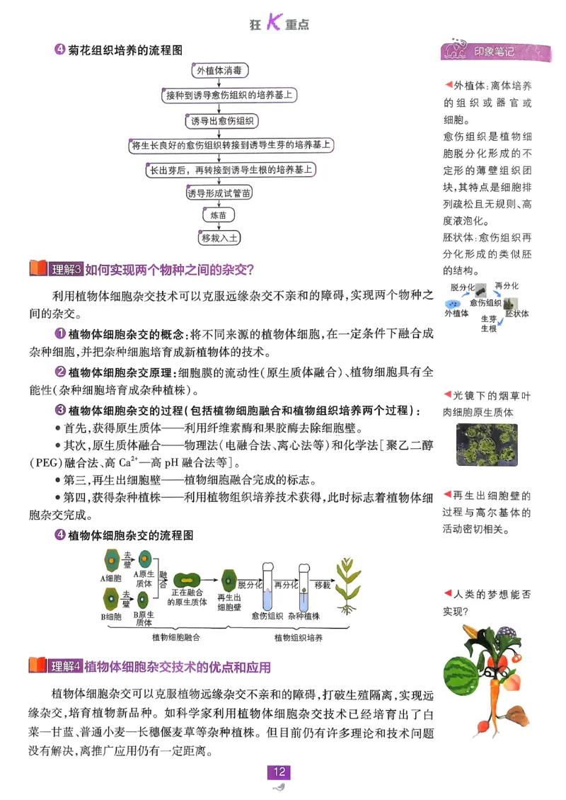 狂k重点生物选修3_生物_2026版高中必刷题生物人教版_2026春高中必刷题生物选修3RJ