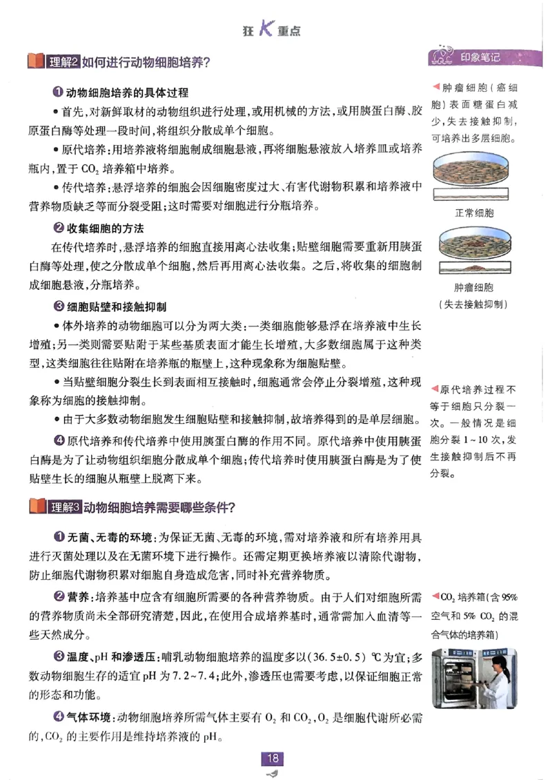 狂k重点生物选修3_生物_2026版高中必刷题生物人教版_2026春高中必刷题生物选修3RJ