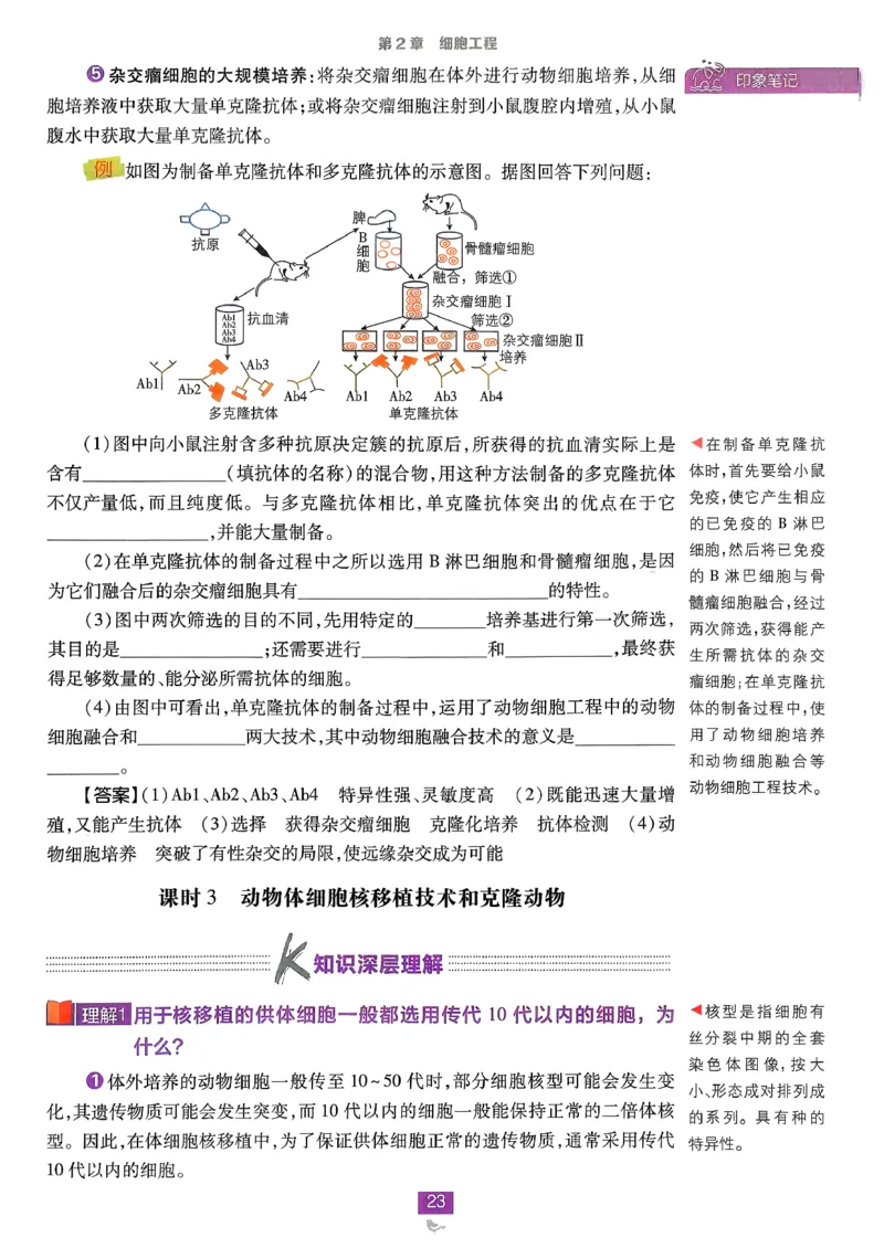狂k重点生物选修3_生物_2026版高中必刷题生物人教版_2026春高中必刷题生物选修3RJ