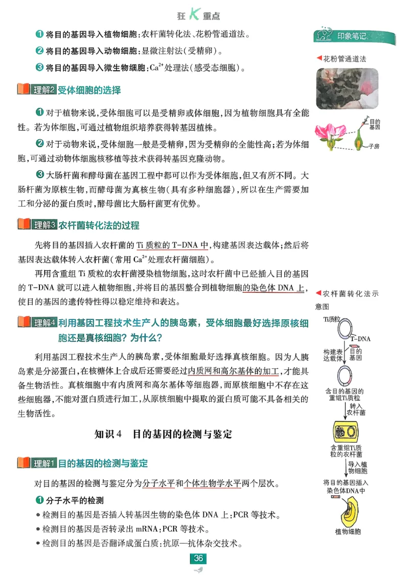 狂k重点生物选修3_生物_2026版高中必刷题生物人教版_2026春高中必刷题生物选修3RJ
