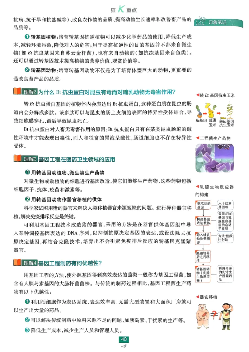 狂k重点生物选修3_生物_2026版高中必刷题生物人教版_2026春高中必刷题生物选修3RJ