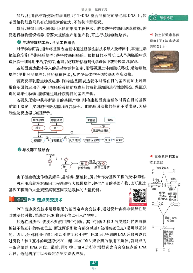 狂k重点生物选修3_生物_2026版高中必刷题生物人教版_2026春高中必刷题生物选修3RJ
