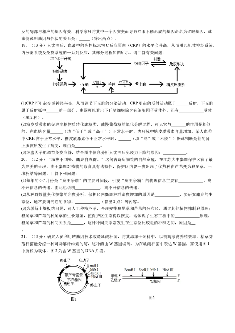 高三生物开学摸底考（广西专用）（考试版）_2024年4月_其他_2023-2024学年高三下学期开学摸底考试卷_2023-2024学年高三生物下学期开学摸底考试卷_高三生物开学摸底考（广西专用）
