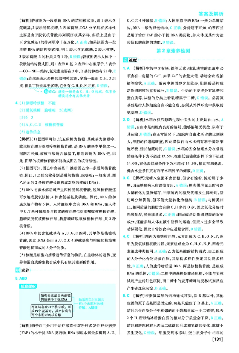 第2章组成细胞的分子_生物_2026版高中必刷题生物人教版_2026版高中必刷题生物必修1RJ_2025秋高中必刷题生物学必修1分子与细胞RJ不定项选择题模式_图书答案