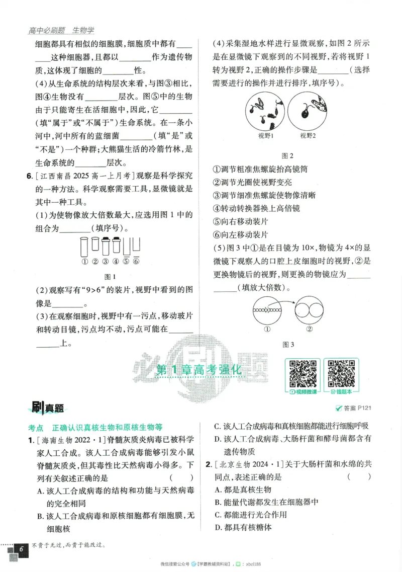 2026版《高中必刷题》生物RJ必修1_生物_2026版高中必刷题生物人教版_2026版高中必刷题生物必修1RJ