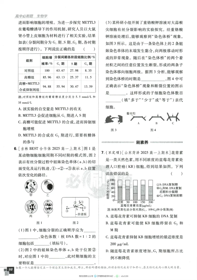 2026版《高中必刷题》生物RJ必修1_生物_2026版高中必刷题生物人教版_2026版高中必刷题生物必修1RJ