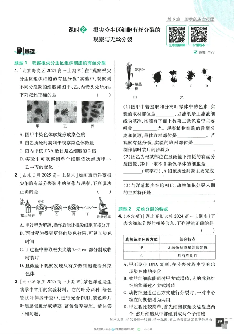 2026版《高中必刷题》生物RJ必修1_生物_2026版高中必刷题生物人教版_2026版高中必刷题生物必修1RJ