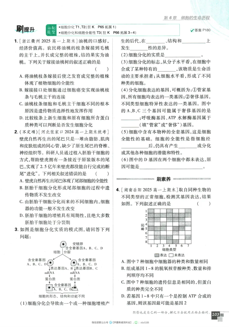 2026版《高中必刷题》生物RJ必修1_生物_2026版高中必刷题生物人教版_2026版高中必刷题生物必修1RJ